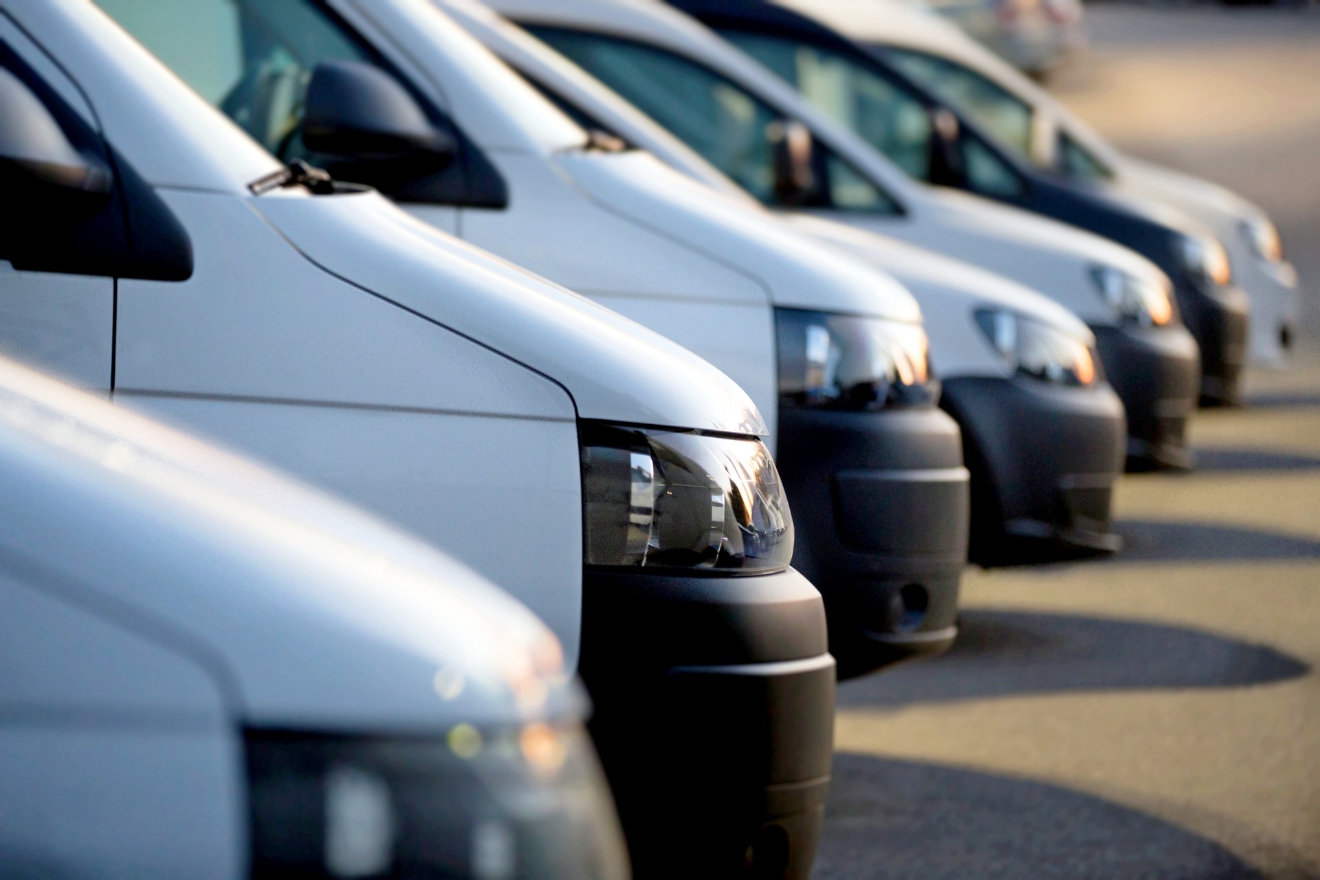 White vans in a row